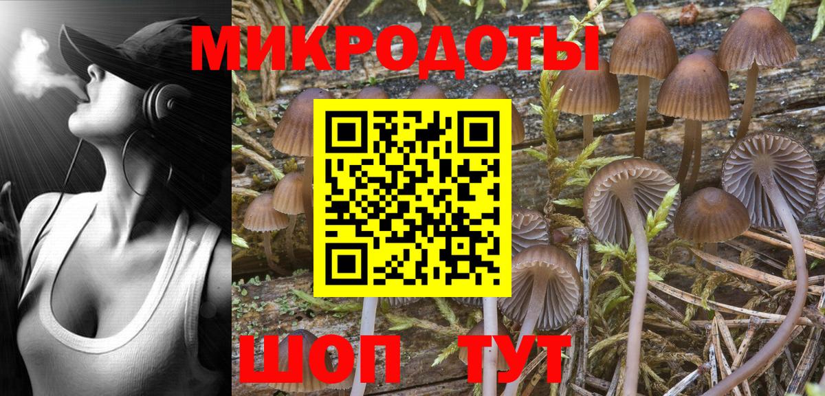 Галлюциногенные грибы Magic Shrooms  Вход с VPN  Псилоцибиновые грибы Psilocybe  Горячий Ключ 